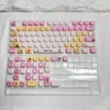 Pixel Zoo Keycap Set arranged as a group, displaying the full collection of unique pixelated creatures.