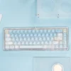 The Summer Kitty Keycap Set packaging, featuring brand logo and a glimpse of the keycaps inside